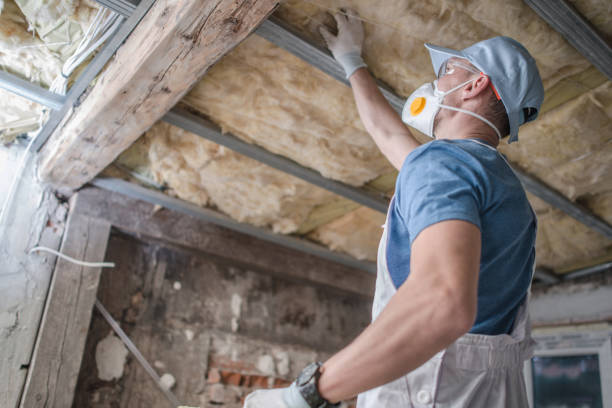 Best Soundproof Insulation Installation  in Luther, OK
